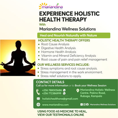 Holistic Wellness Consultation